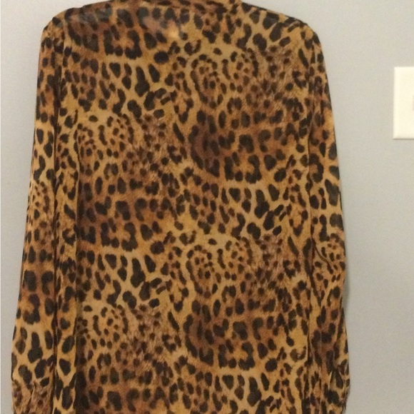 SOLD- Leopard print sheer blouse. Never worn, just hanging in the closet. - Picture 3 of 3